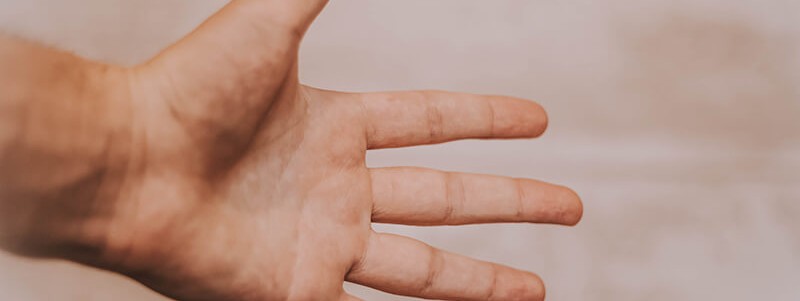 Prime Picks: Must-Have Products - Volume 5